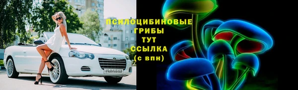 MDMA Заводоуковск