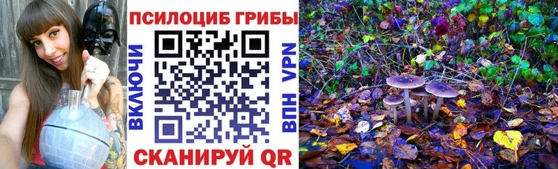 Псилоцибиновые грибы Magic Shrooms Нижние Серги